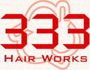 logo 333